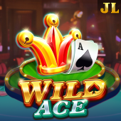 Wild Ace related hot